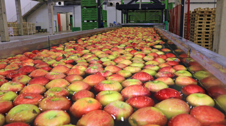 water-treatment-for-livestock-dairy-farm-apples-1094986528